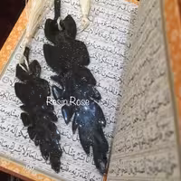 بوک مارک یا نشان کتاب رزین طرح پر سیاه و اکلیلی