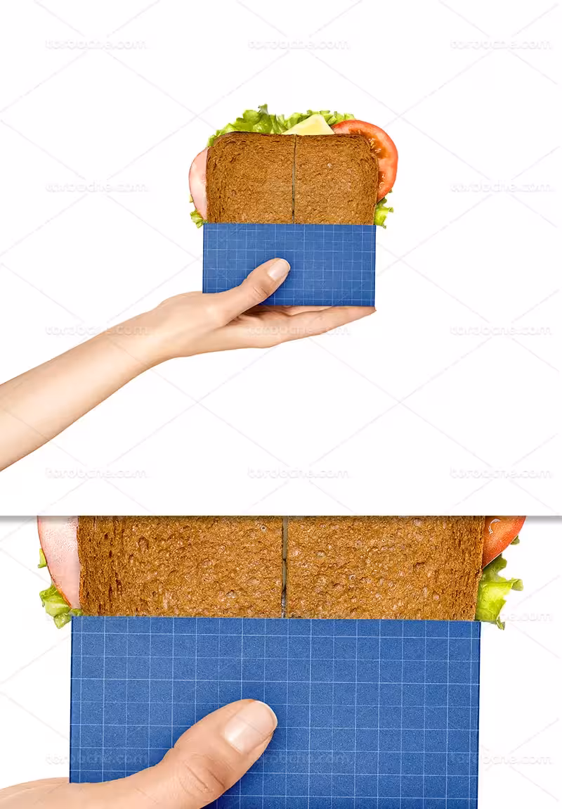 موکاپ بسته بندی ساندویچ | گرافیک با طعم تربچه
