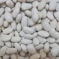 لوبیا سفید محلی لرستان زود پز درجه یک 