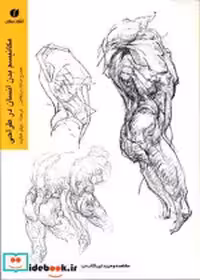 قیمت و خرید کتاب مکانیسم بدن انسان در طراحی | ایده بوک