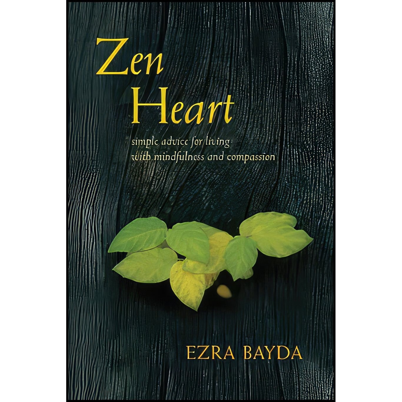 کتاب زبان اصلی Zen Heart اثر Ezra Bayda انتشارات Shambhala