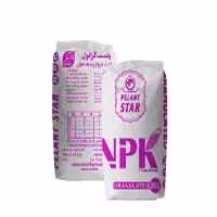 چالکود 555 پلنت استار