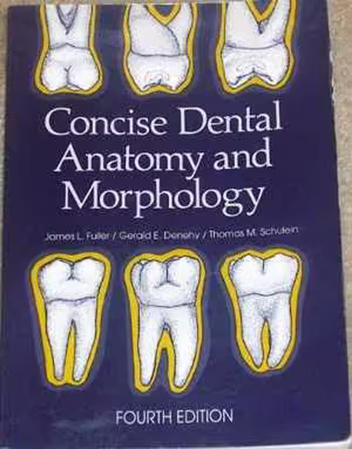 [PDF] دانلود کتاب Concise Dental Anatomy And Morphology, 4th ed, 2001