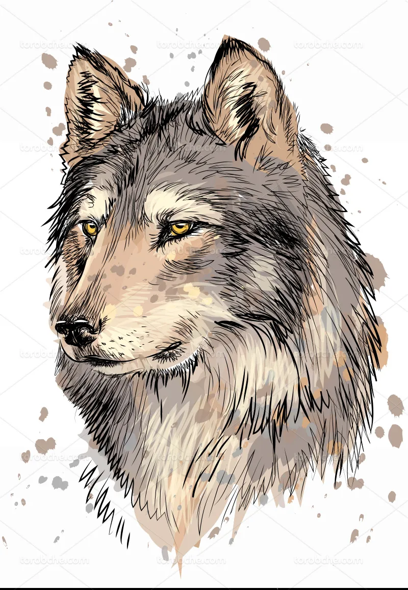 وکتور لوگوی سر گرگ | گرافیک با طعم تربچه