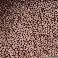 لوبیا چیتی درشت  سایز 8 (نیم گرم)