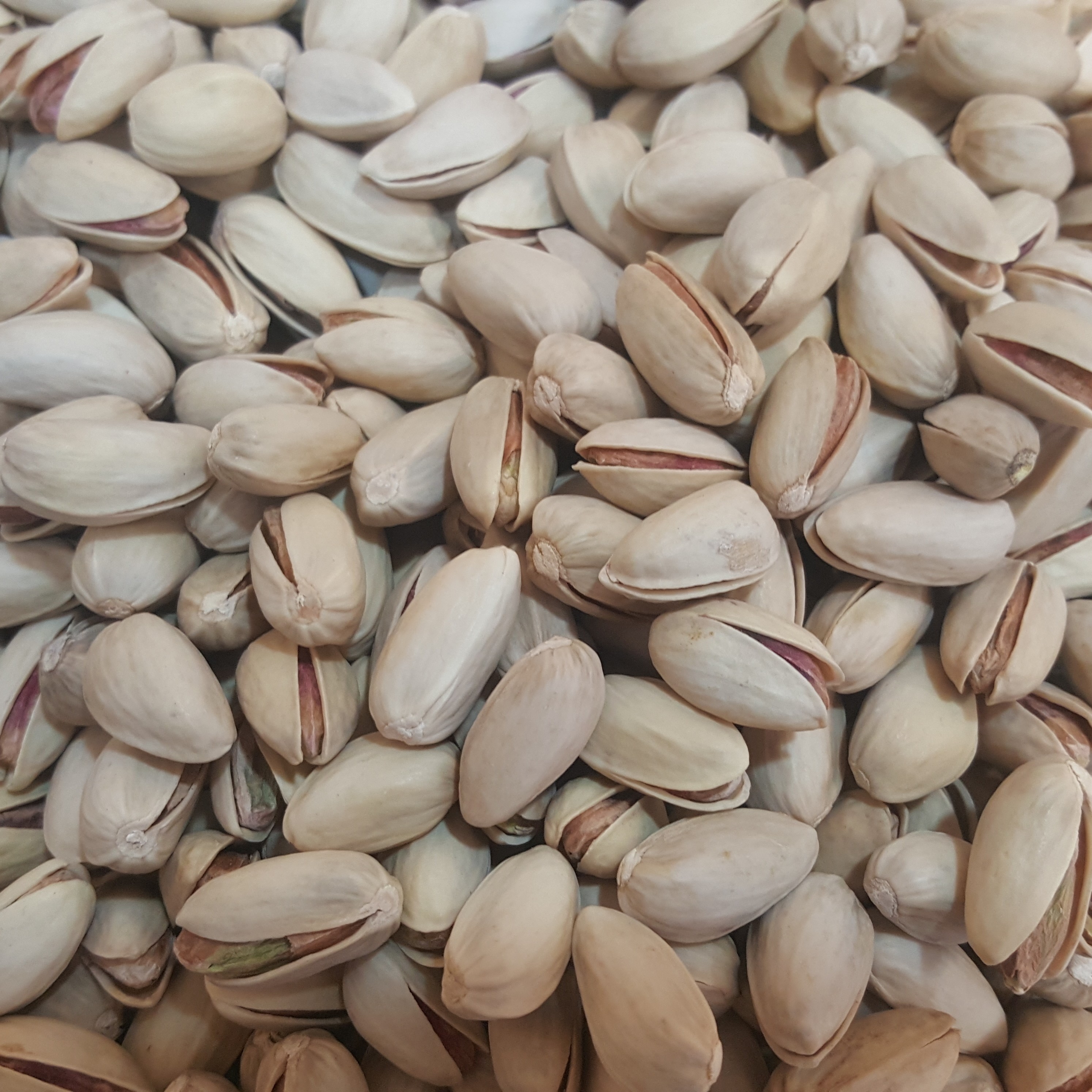 پسته اکبری گرید b
