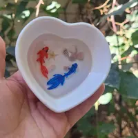 حوضچه ماهی رزینی قلبی