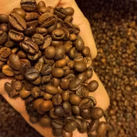 میکس دان قهوه20-80  ربوستا