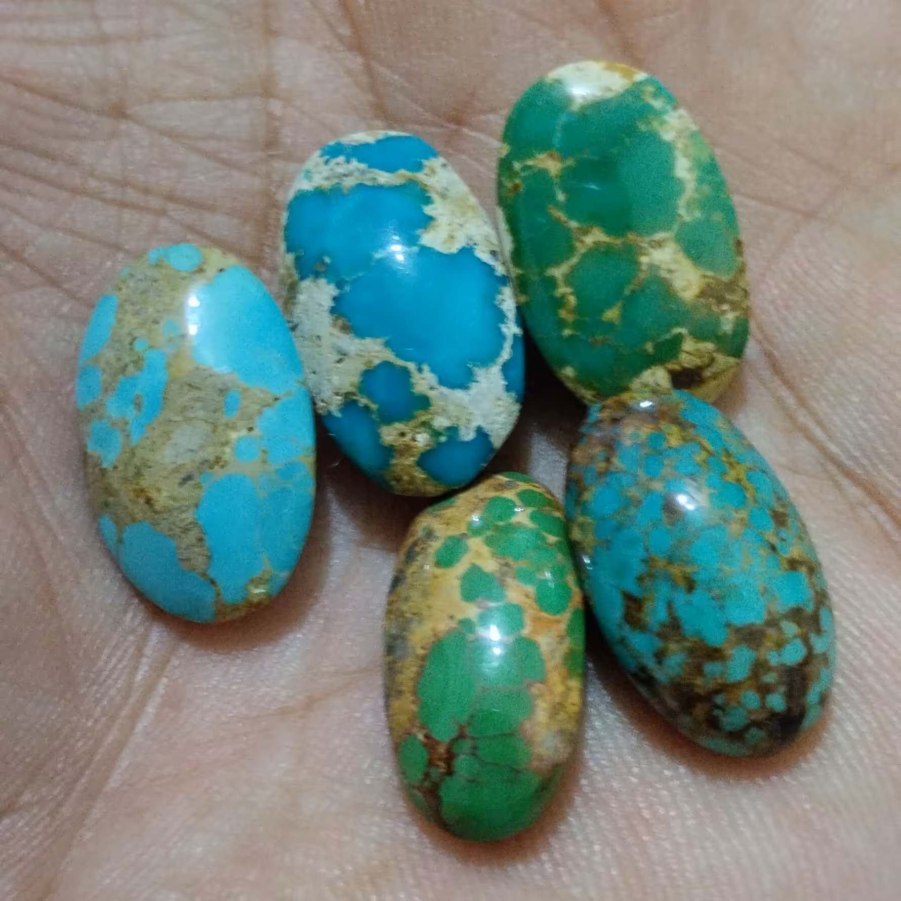 پک 5 عددی فیروزه شجر نیشابور  ، سایز 20 تا 22 میلیمتر ،کاملا طبیعی و اعلا ، رگه طلایی ، عنکبوتی ، ماتریکس .