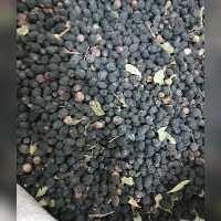 سیاه توسه (سیاه اربه) 200 گرم 
