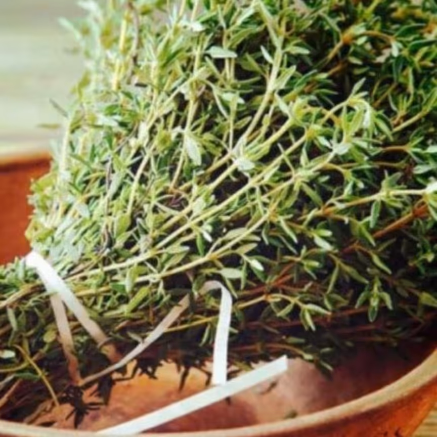 آویشن کوهی به صورت برگ 