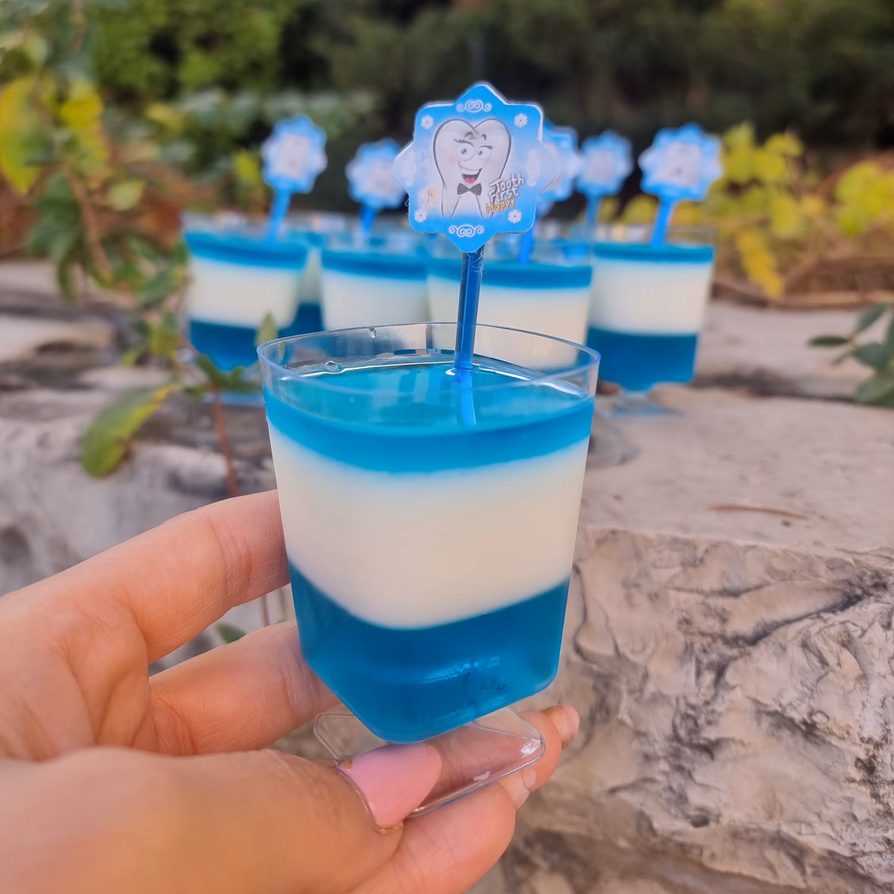 10 عدد جام  ژله 