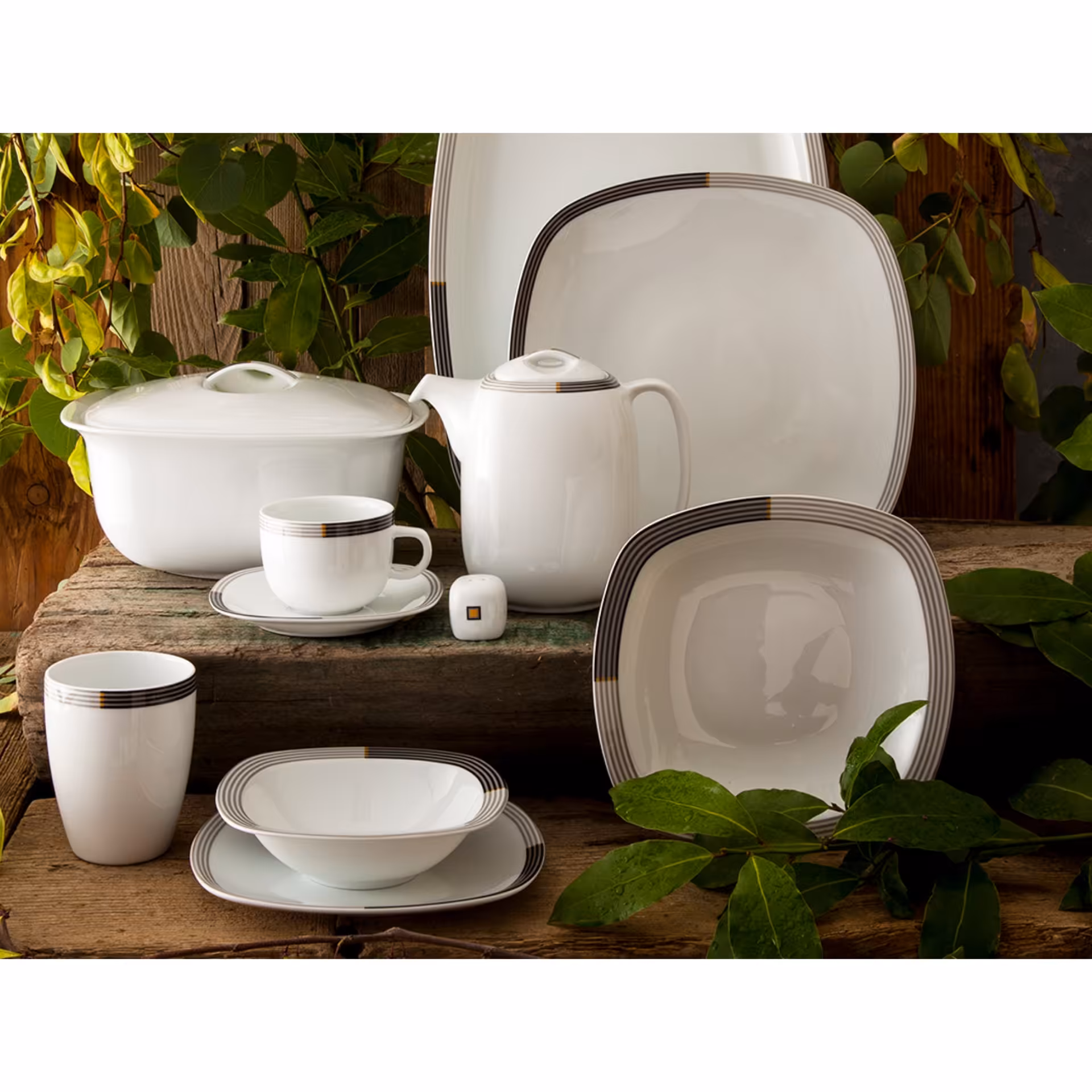 سرویس 12 نفره ی کامل چینی زرین وگاس اوریت بدون واسطه از نمایندگی رسمی محصولات چینی زرین خرید کنید 