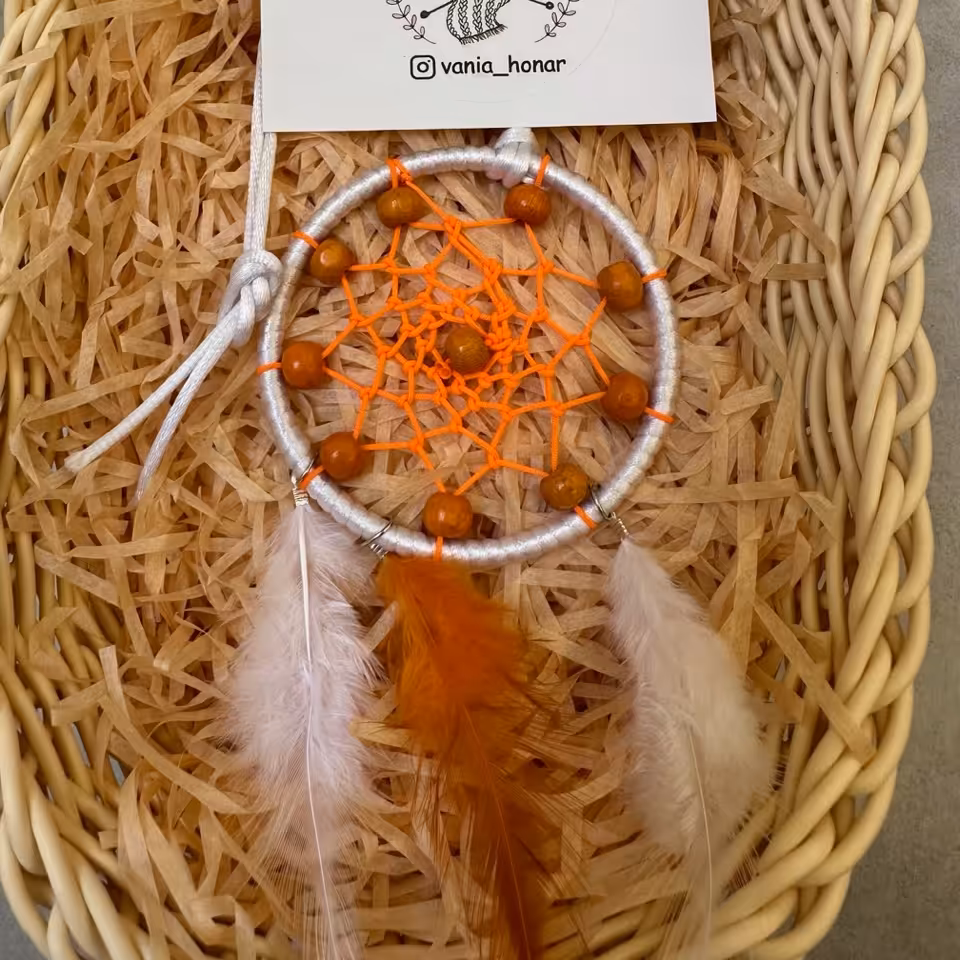 دریم  کچر بی نظیر