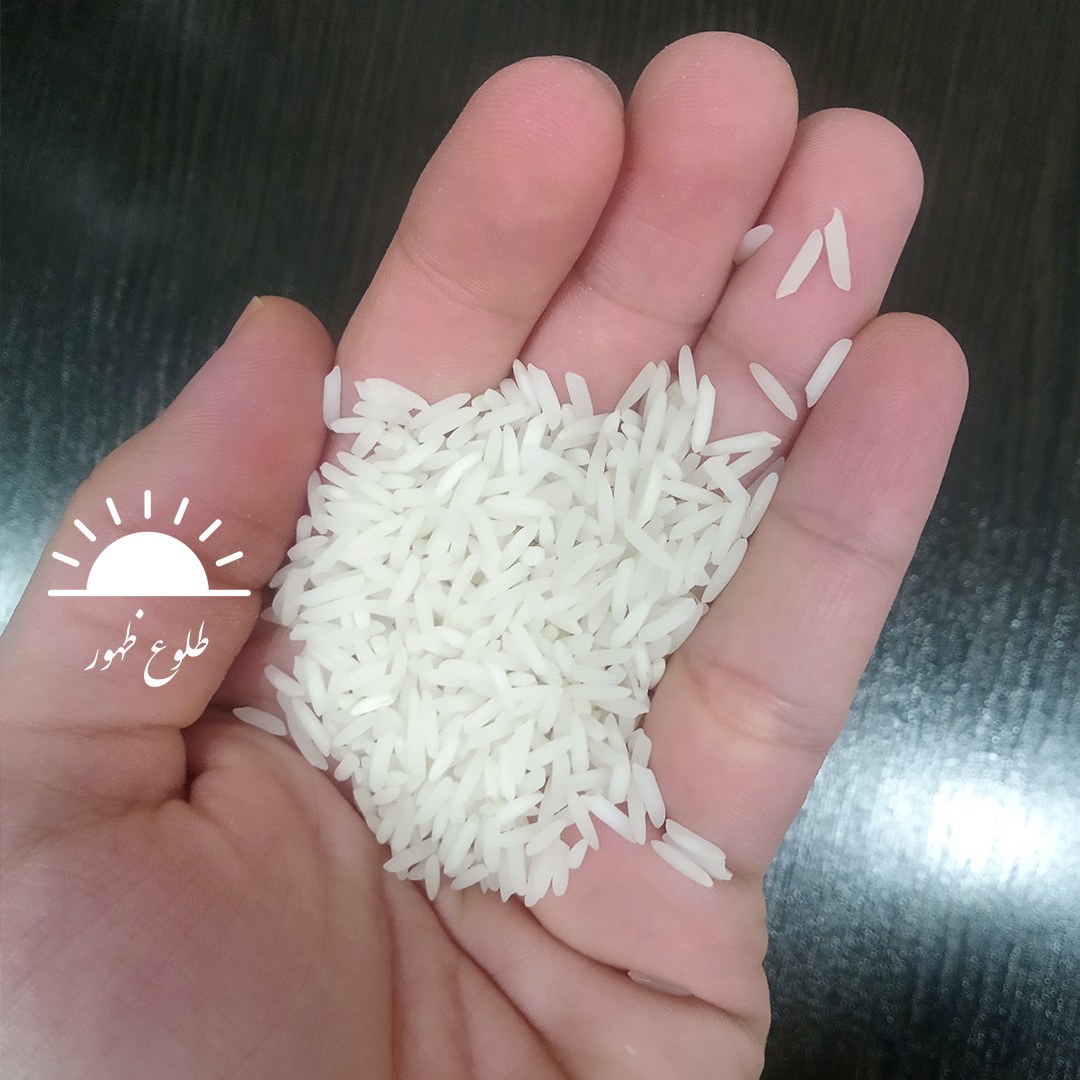 برنج طارم شیرودی (50 کیلوگرم) با قیمت مناسب