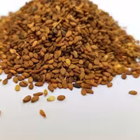 کنجد قهوه ای  500 گرمی