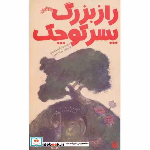کتاب راز بزرگ پسر کوچک