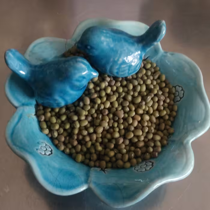 ماش ریز بومی زود پز - 500 گرامی