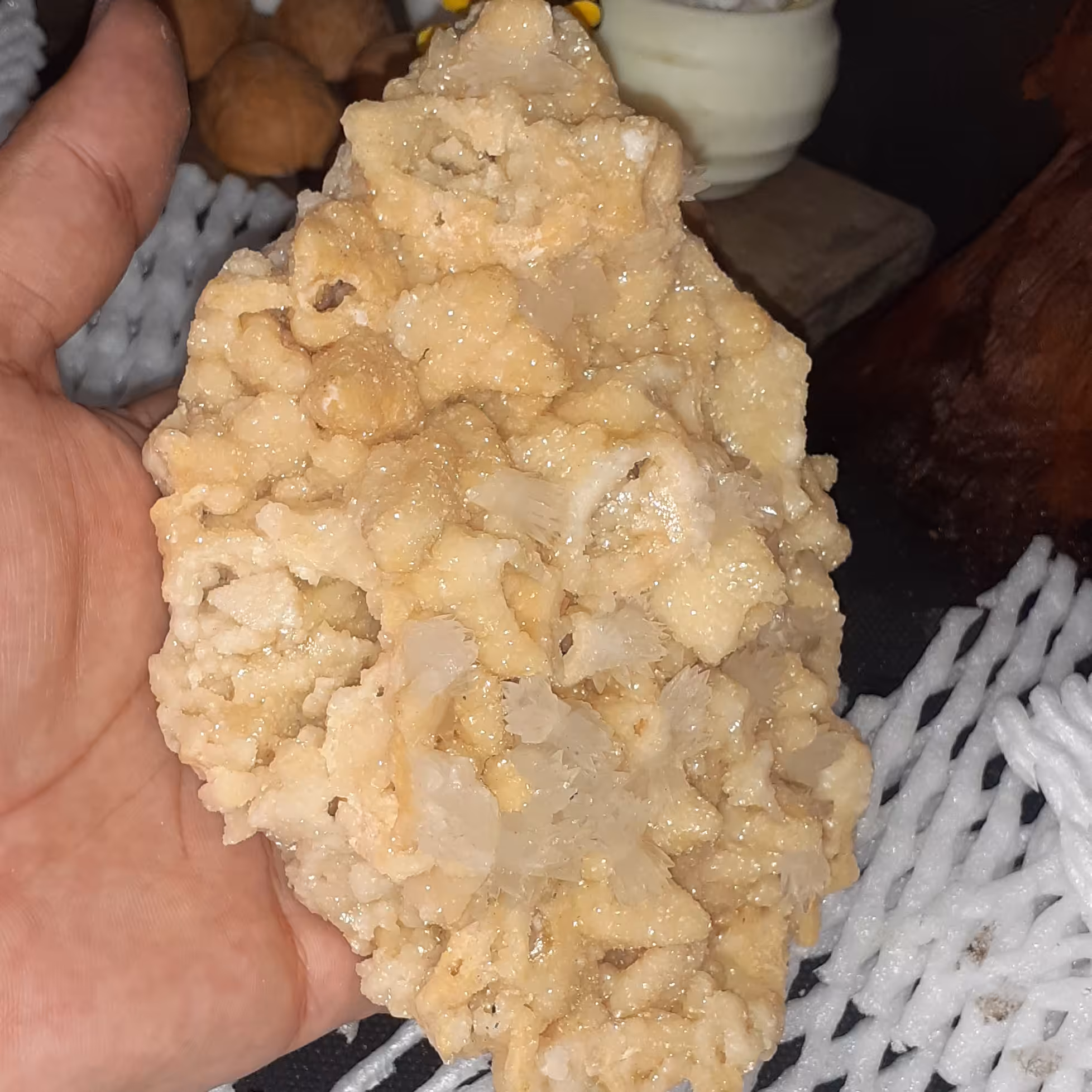 سنگ راف کلکسیونی دولومیت با روشدی کلسیت پاپیونی 