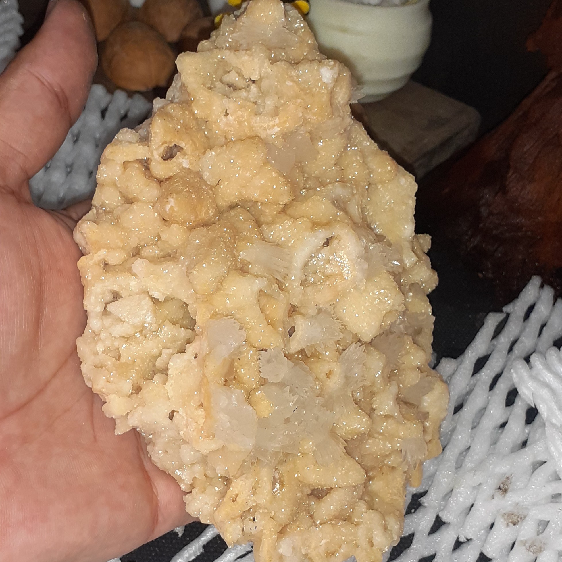 سنگ راف کلکسیونی دولومیت با روشدی کلسیت پاپیونی 