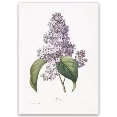 پوستر طرح گل