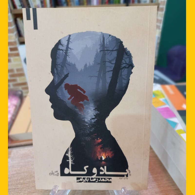 باد و کاه