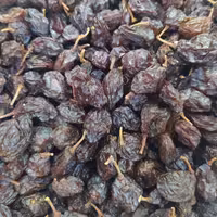 مویز هسته دار ممتاز