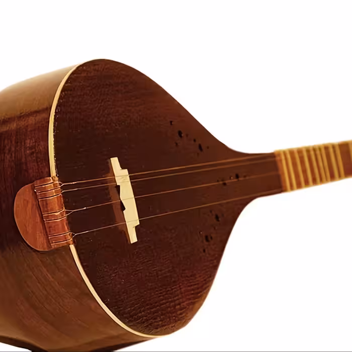 سه تار مهر  مفاخری به همراه هاردکیس ضدضربه (پس کرایه)