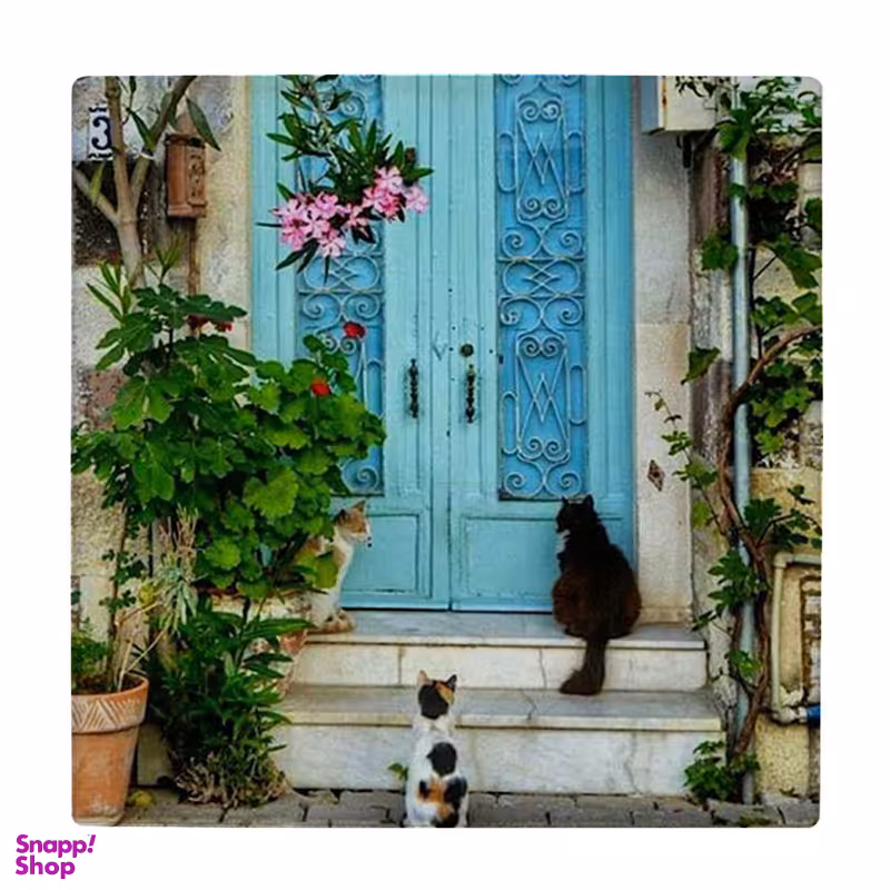 زیر لیوانی طرح سه گربه و گل شمعدانی کد 4056533_2650