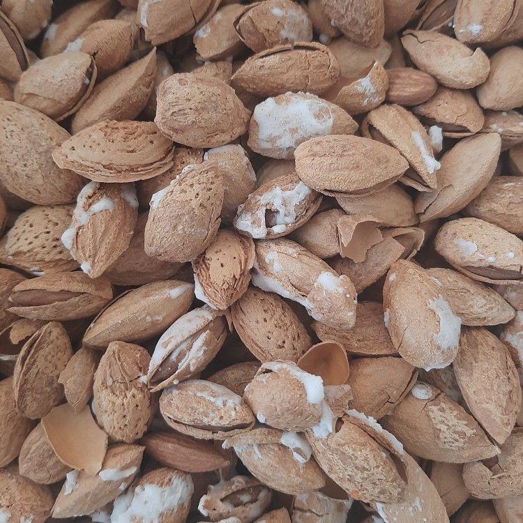 بادام منقا شور (نیم کیلو)