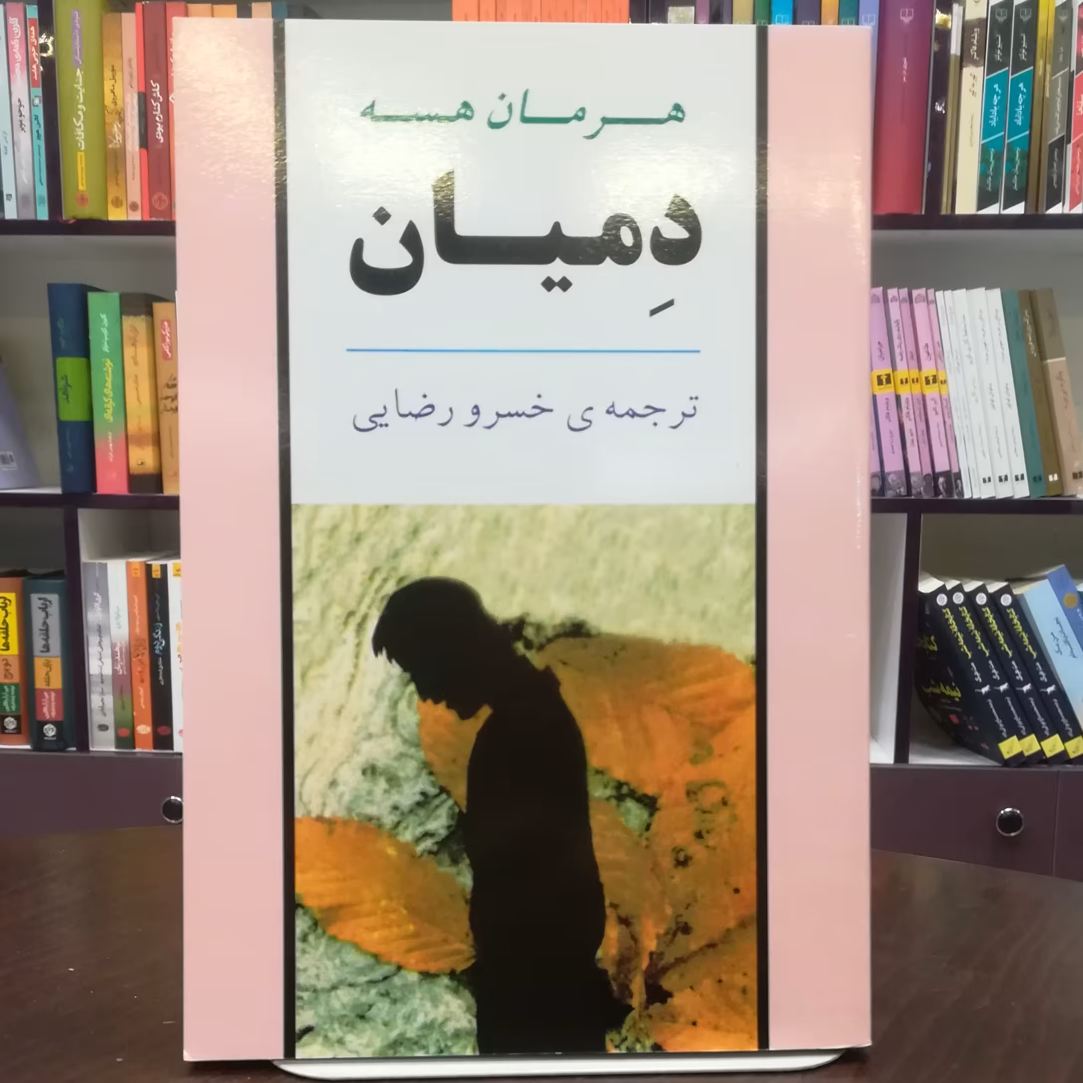 کتاب دمیان اثر هرمان هسه ترجمه خسرو رضایی نشر جامی 