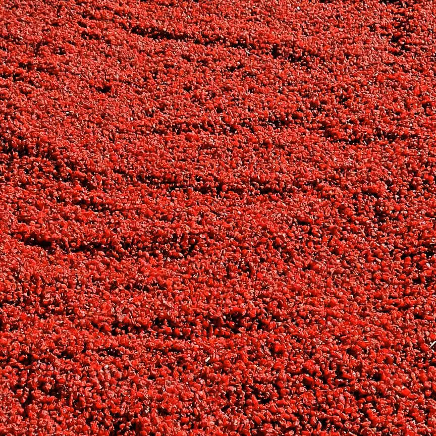 زرشک دانه اناری 10 کیلویی قاینات