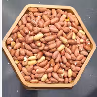 بادام زمینی آستانه امساله 1403 نیم کیلویی