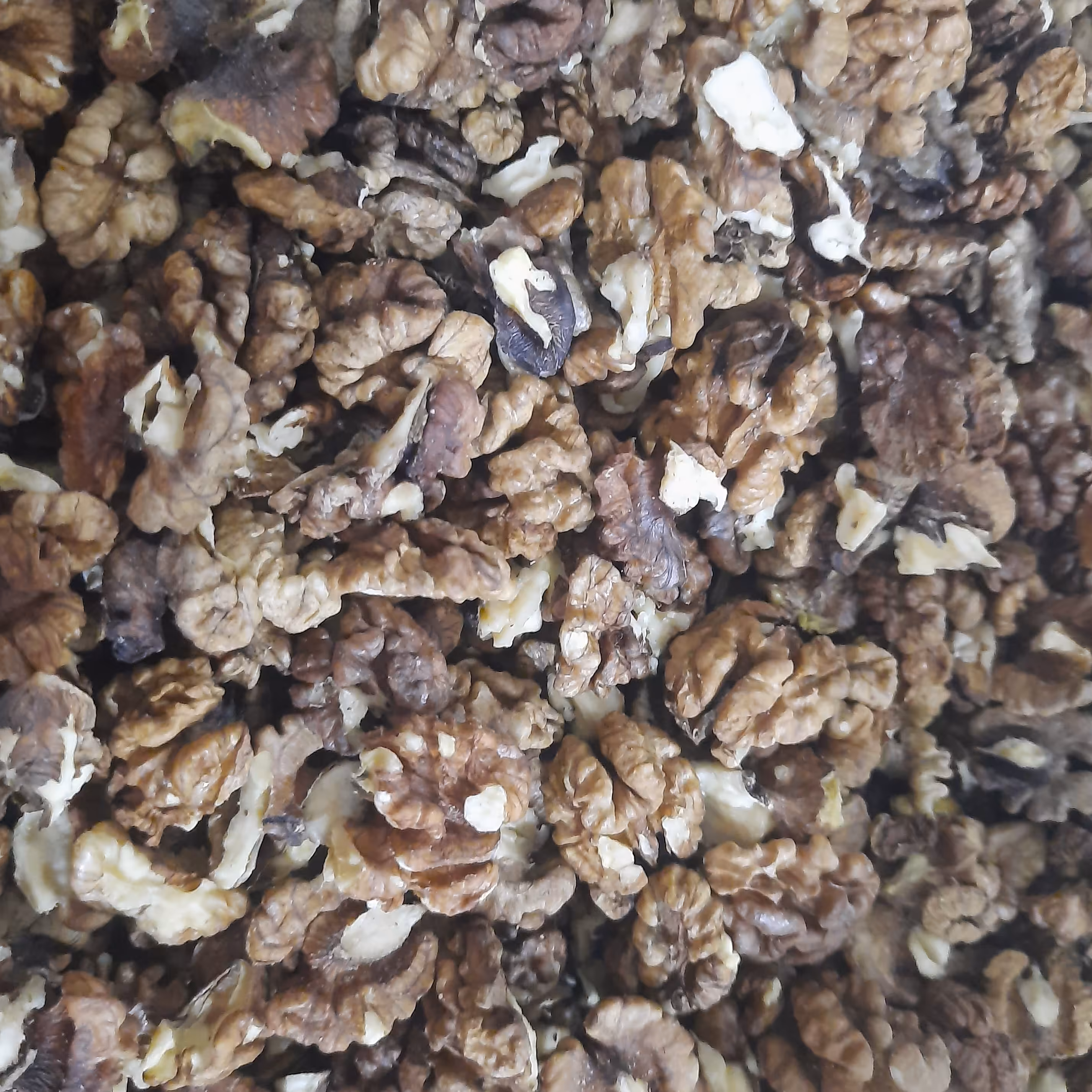 3 کیلو،مغز گردوی فسنجونی تویسرکان پرچرب ارگانیک