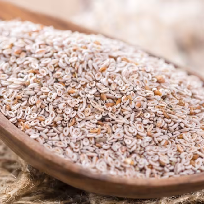 اسفرزه تازه  100گرمی