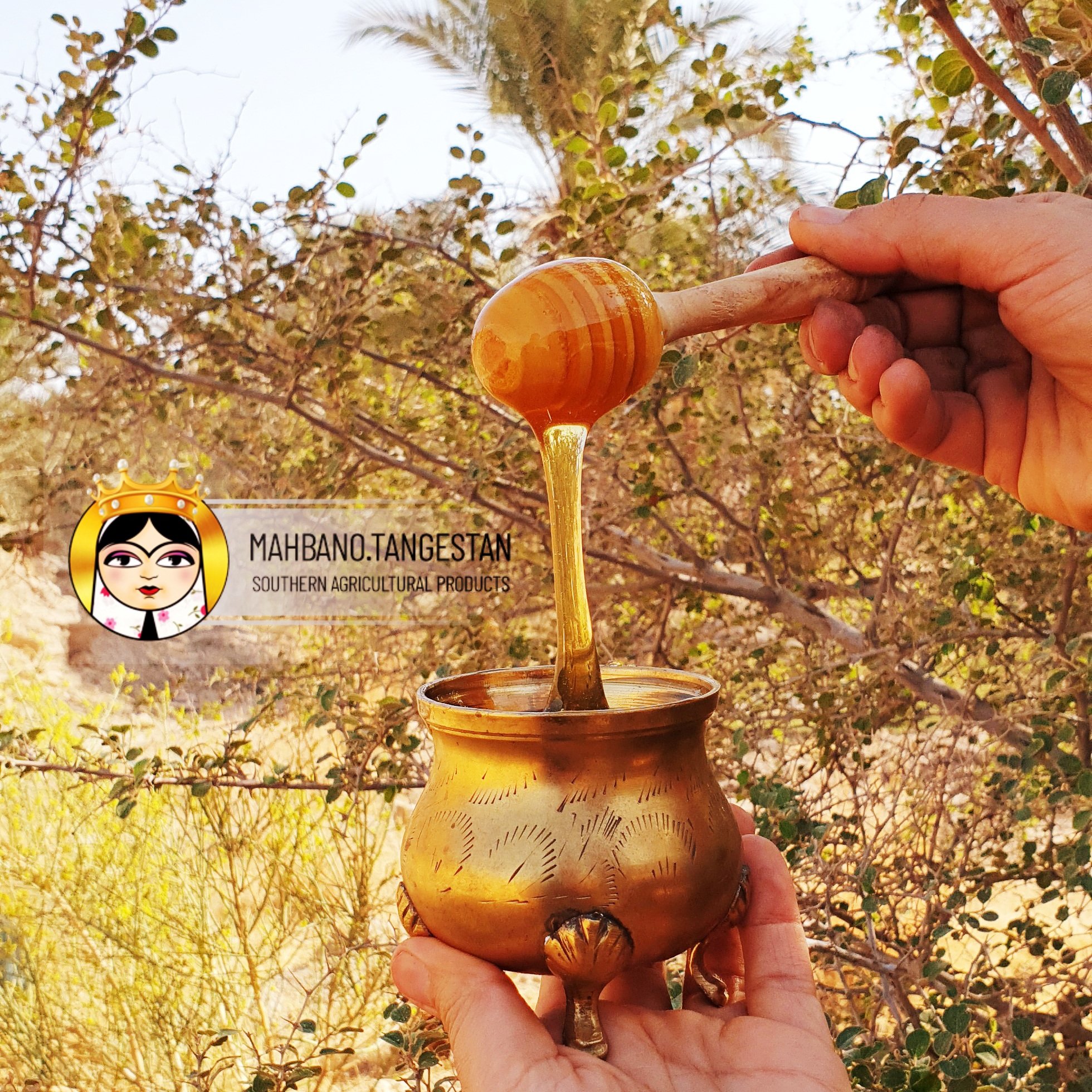 عسل اصل کُنار همراه با چوب عسلی