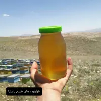 عسل طبیعی آفتاب گردان (فراورده های طبیعی ایلیا )