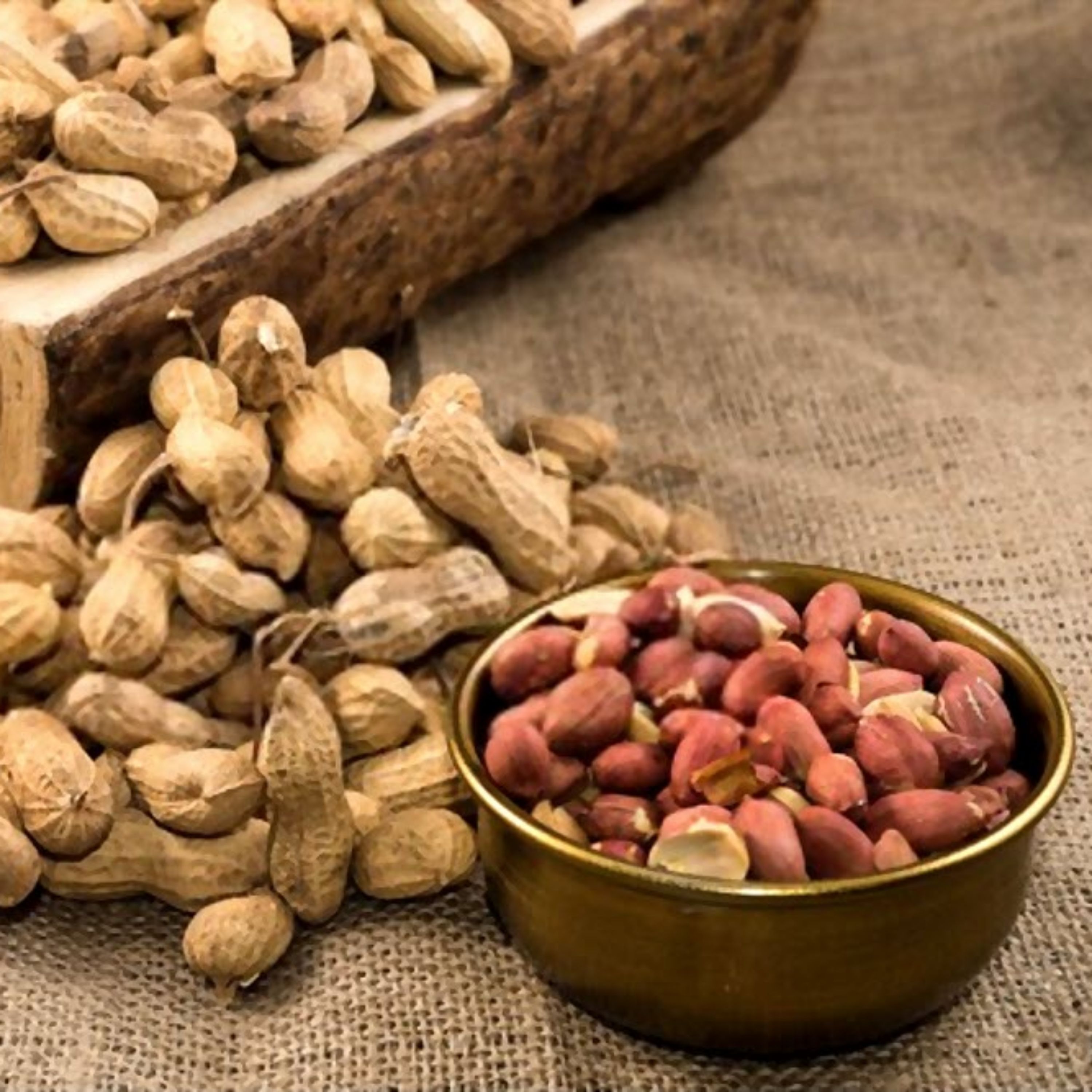 بذر بادام زمینی