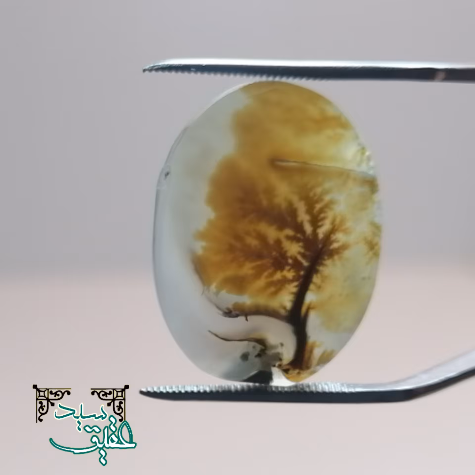 نگین عقیق شجر  تک درخت پاییزی