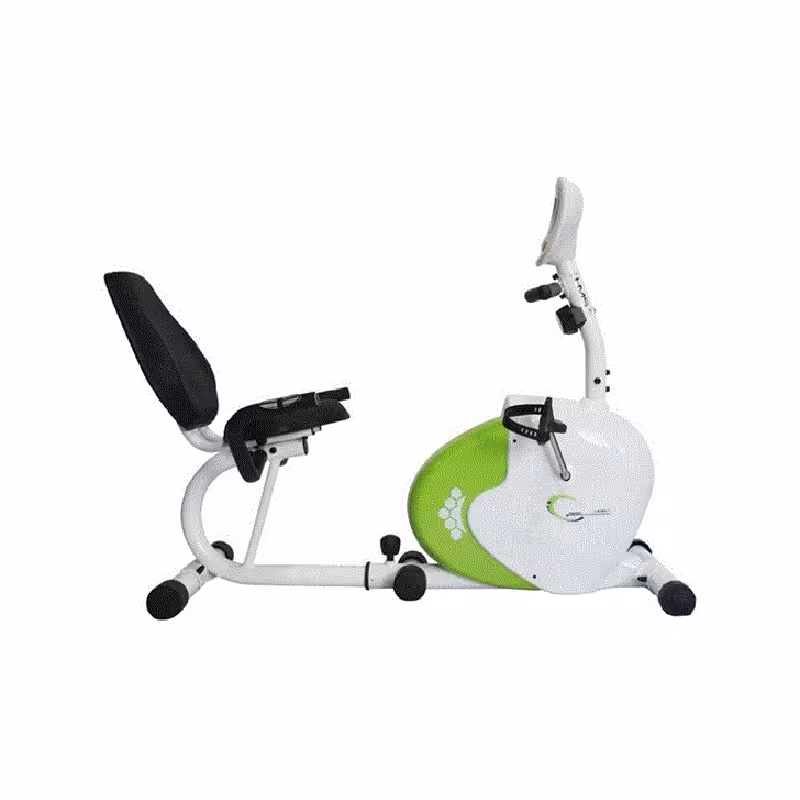 دوچرخه ثابت خانگی پشتی دار اچ ام اس مدل R9259