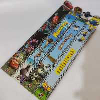 خطکش چوبی طرح دار فانتزی پسرانه 25 سانت درجه یک