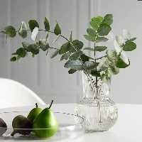 گلدان شیشه ای تیدا