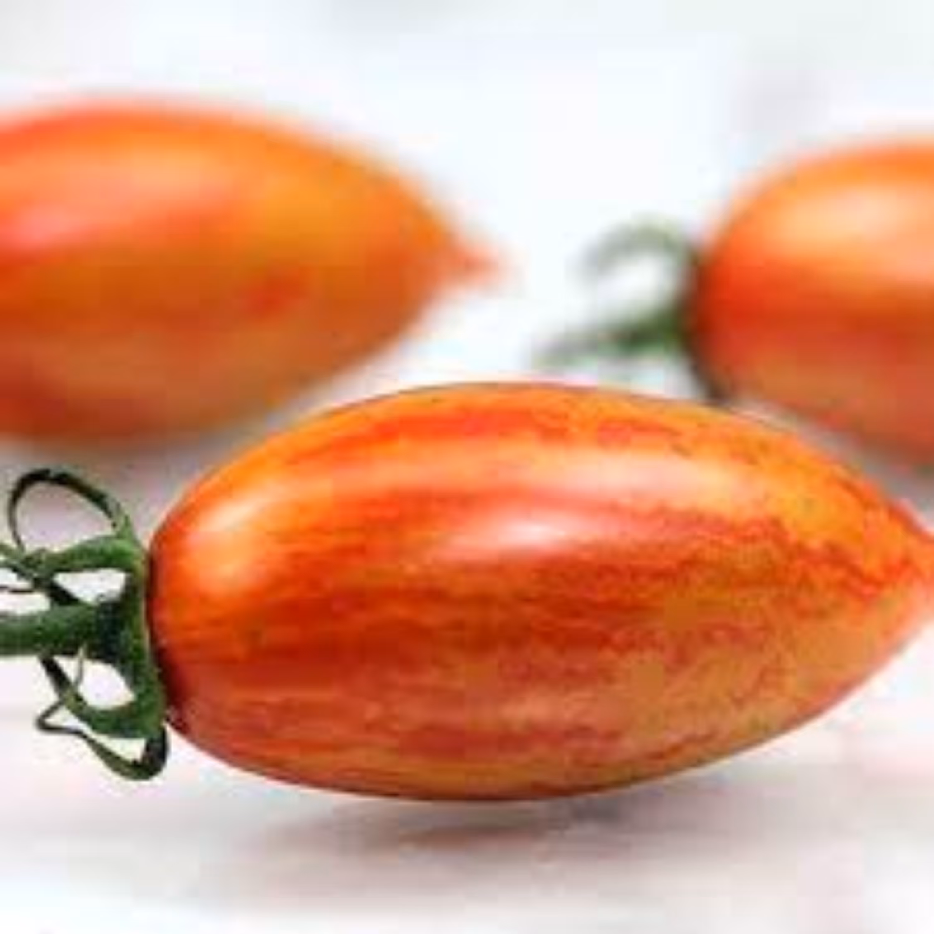 بذر گوجه زیتونی سیاه تایگر 10 عددی 