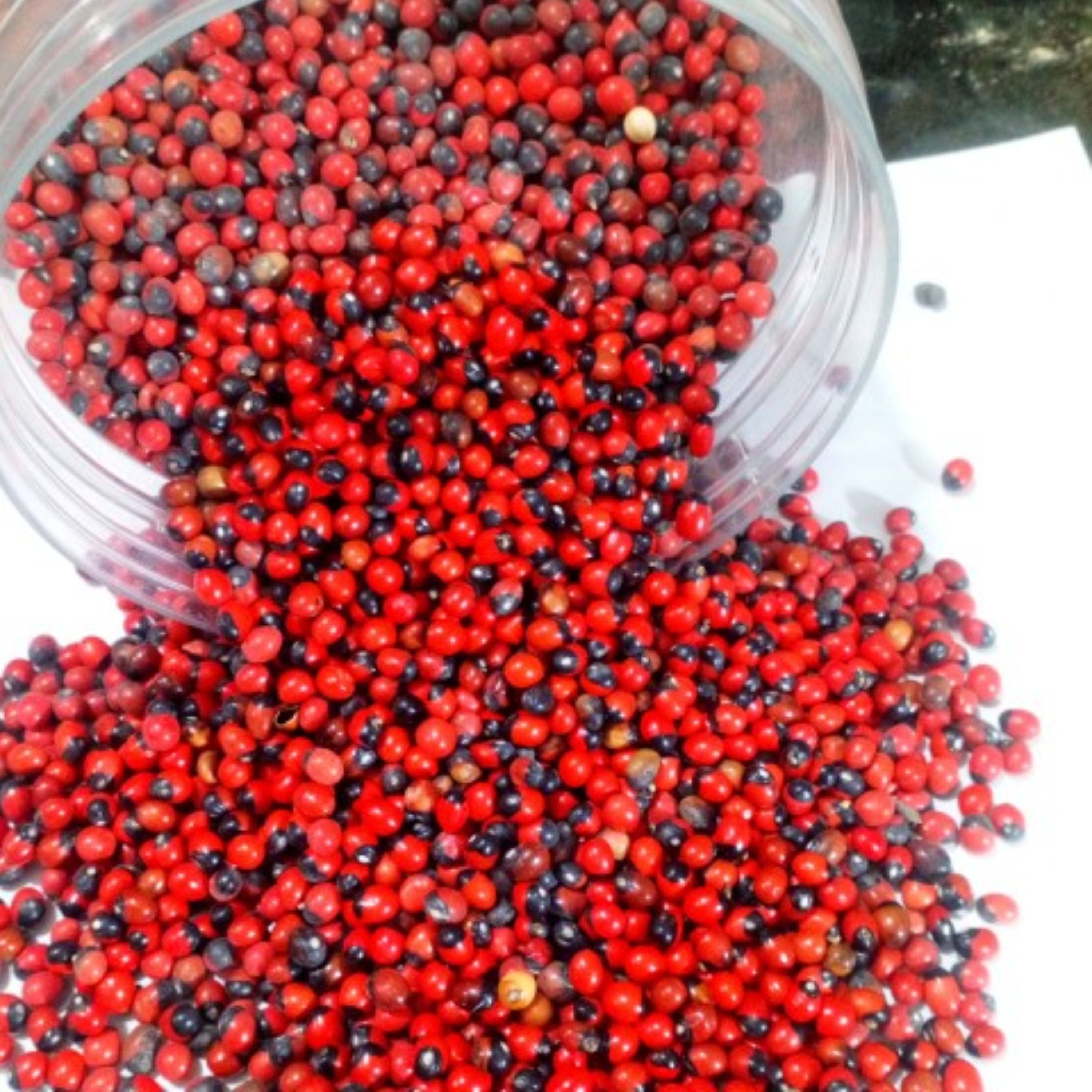چشم خروس (آدونیس یا عین الدیک) 200 گرمی 