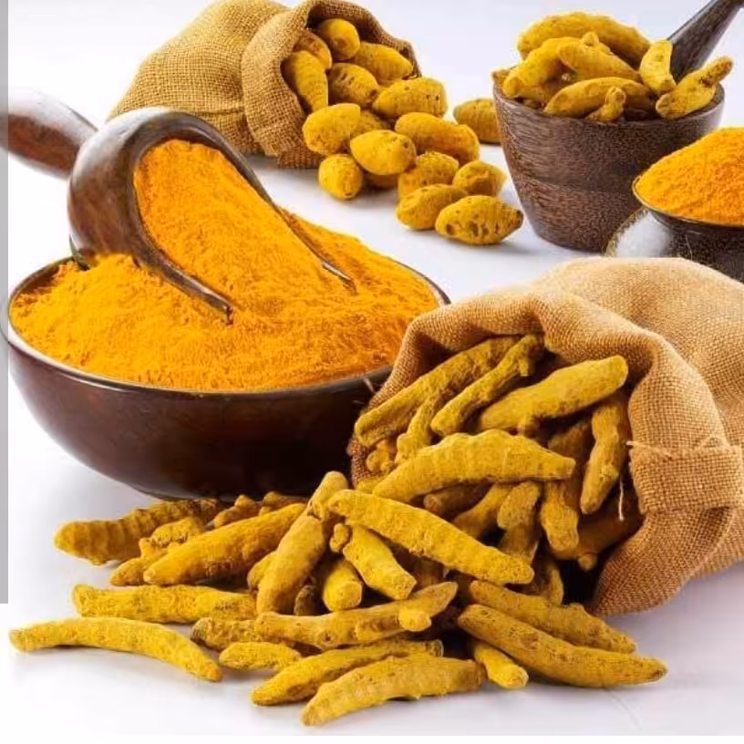 زردچوبه قلم (توبک طلایی)