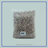 لوبیا چیتی بزرگ صدرا