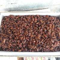 کشمش آفتابی طبیعی (درجه1)