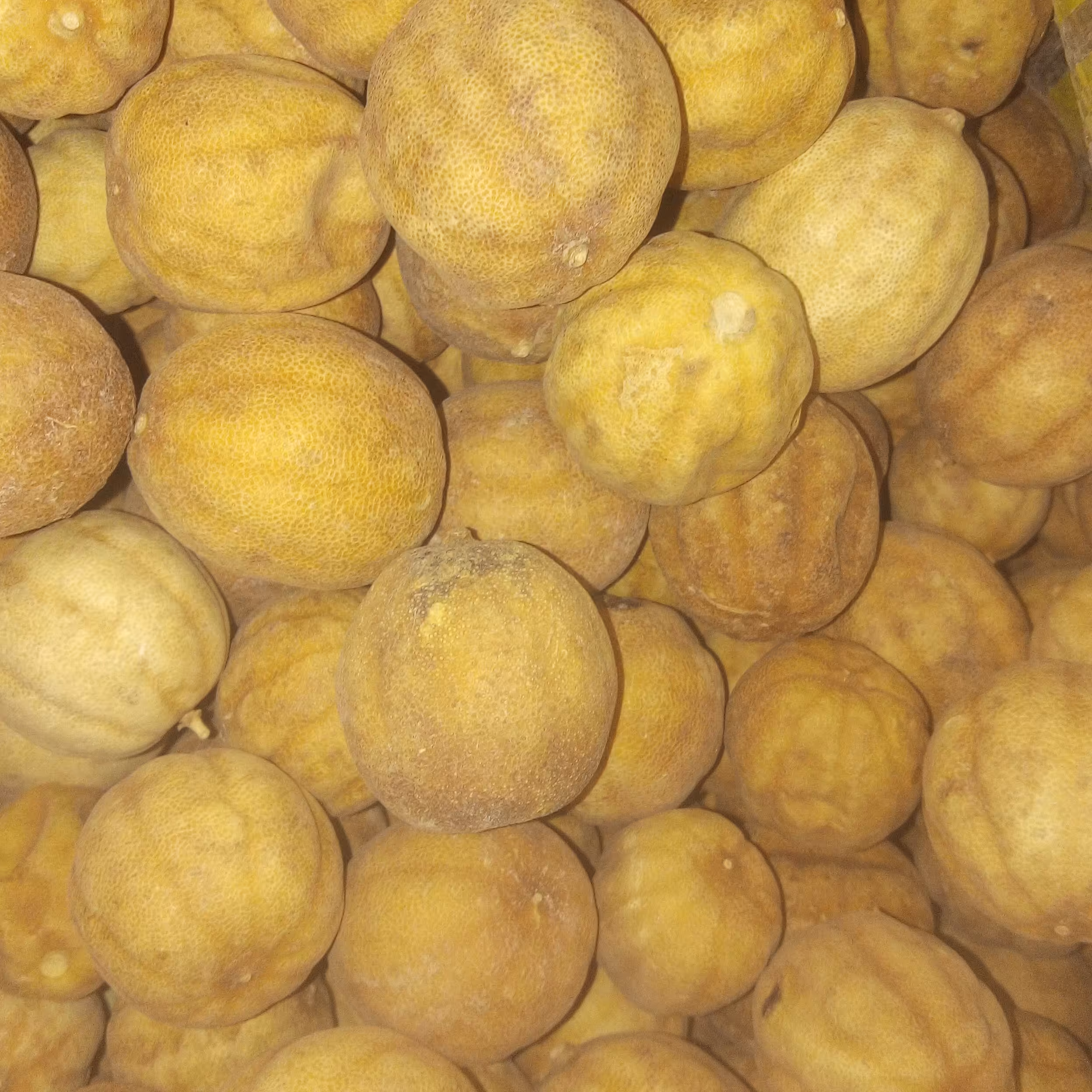 لیمو امانی درشت خارجی 