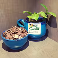 گیاه جفت بلوط درجه 1 فدک (200گرم)