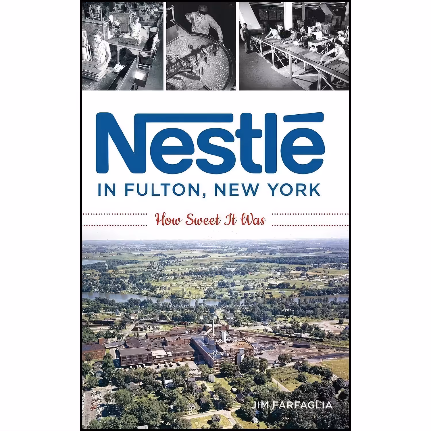 کتاب زبان اصلی Nestle in Fulton New York اثر Jim Farfaglia